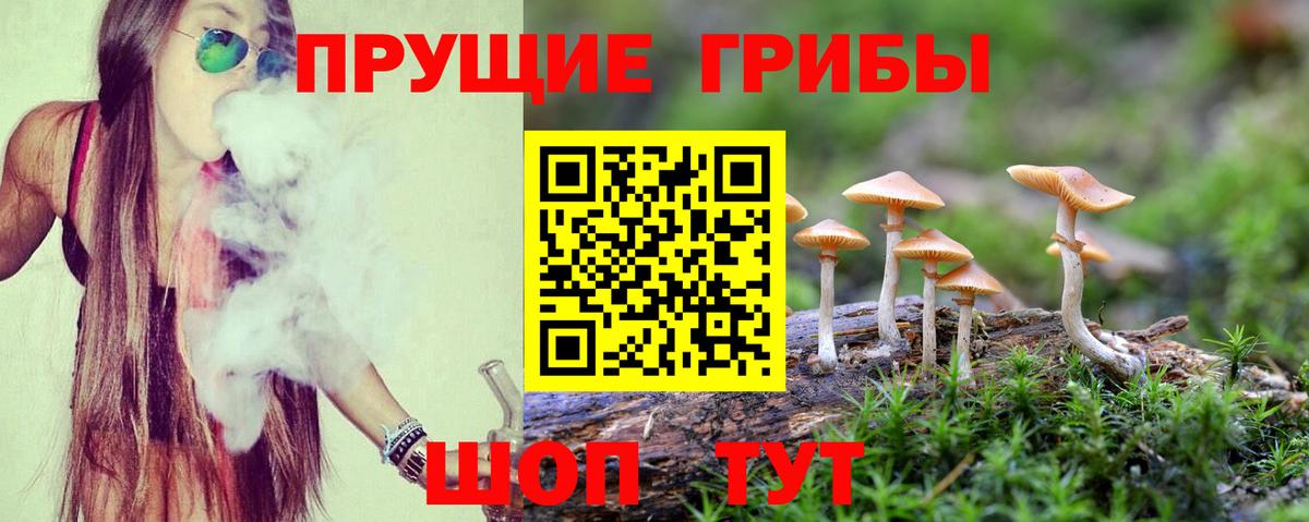 Медногорск  Галлюциногенные грибы прущие грибы  Вход с VPN  магазин продажи наркотиков  Галлюциногенные грибы GOLDEN TEACHER 