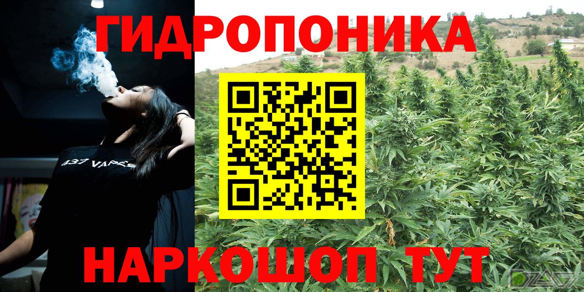 Шишки марихуана тримм  Марихуана VHQ  Бошки Шишки AK-47  Бошки марихуана индика  Вход с VPN  Медногорск 